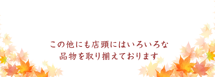 この他にも店頭にはいろいろな品物を取り揃えております