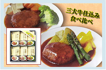 三大牛仕込み ハンバーグ詰合せ
