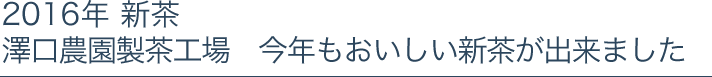 2016年 新茶澤口農園製茶工場　今年もおいしい新茶が出来ました